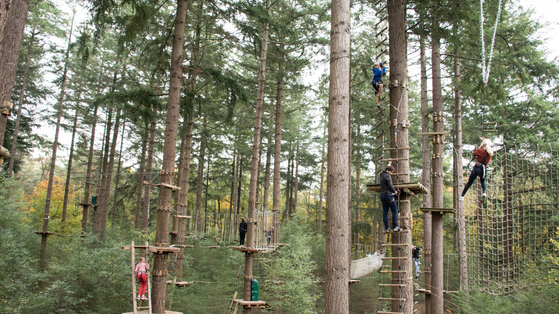 Klettern für Jung & Alt