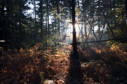 Silhouet van een klimmer in Klimbos Gooi-Eemland