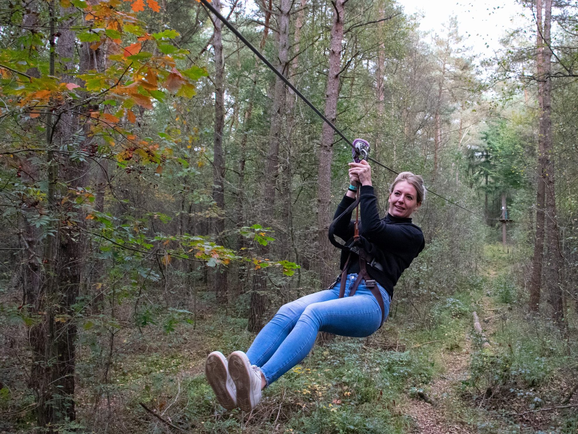 Tucking between the trees