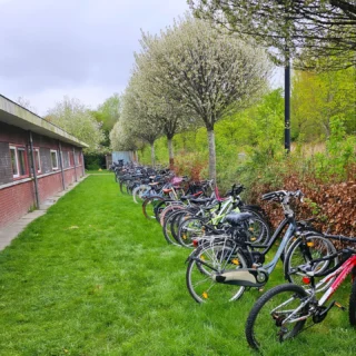 Wat een kamp met groep 8!🧭🏕
Wat hebben we ontzettend veel beleefd: fietsen, een eigen vlag maken, de survivalbaan trotseren, bosspelletjes spelen, een spannende spooktocht lopen, bomen beklimmen én lasergamen.🌲🌳
Wat een energie, wat een plezier – en vooral: wat een mooie herinneringen met deze geweldige groep!🐛❤️

- ☀️ -

#groep8 #schoolkamp #playtime #kampvibes #debomenin #allemaalbeestjes #barbaraellen