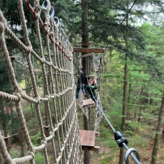 Spierballen benodigd! 💪🌳 Een overgang met veel netten, dat is voor iedereen zwaar! Maar ook wel weer heel tof! 🤗

#debomenin #klimbos #klimmen #touwnetten #spierpijn #spierballen #sterk