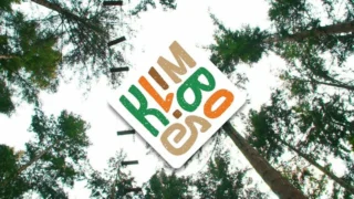 Super tof toch om met je collega's de bomen in te gaan?🌳💪 Samen klimmen, elkaar coachen en na afloop heerlijk genieten van een bbq 🍖

Bereik de top in het Klimbos en verleg grenzen met collega's 🤗

#debomenin #klimbos #teamuitje #metcollegas #bedrijfsuitje #klimmen