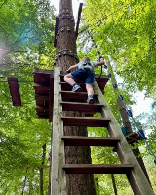Kinderen klimmen, klauteren en zoeven met een grote glimlach door de bomen, vol lef en plezier! 🤗🌳
En de ouders? Die staan er soms toch even bij te kijken… 😅

#debomenin #klimbos #klimmen #jongenoud #uitdagingvooriedereen #zomervakantie #familieuitje #gezinsuitje #metdekinderen